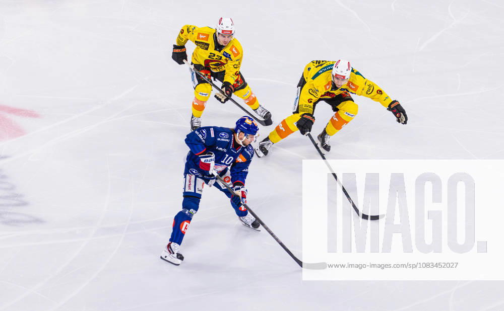 Ice hockey, Eishockey National League Regular Season - ZSC Lions vs. SC Ber Zurich, Switzerland, 15th Sep 2026: 23 Marco Lehmann and 51 Nils Rhyn (both Bern) put pressure on the puck-carrying 10 Sven Andrighetto (ZSC Lions).