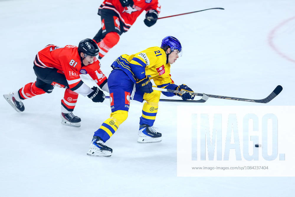 Eishockey, CHL, Kölner Haie - Blue Fox Herning, Champions Hockey League 2026 27, 5. Spieltag, Saison 2026 27, Lanxess-Arena Köln: Mateu Späth (Koelner Haie 81) im Zweikampf gegen Hjalte Kruse Thomsen (Blue Fox Herning 21) Nordrhein-Westfalen Deutschland