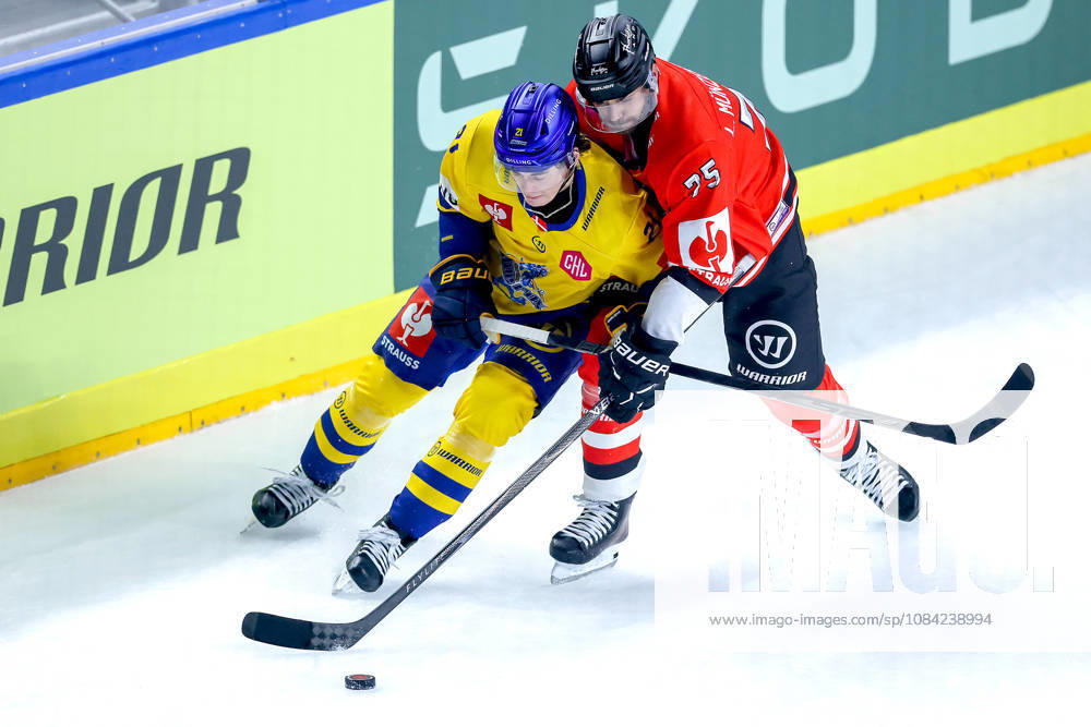 Eishockey, CHL, Kölner Haie - Blue Fox Herning, Champions Hockey League 2026 27, 5. Spieltag, Saison 2026 27, Lanxess-Arena Köln: Hjalte Kruse Thomsen (Blue Fox Herning 21) im Zweikampf gegen Luca Münzenberger (Koelner Haie 75) Nordrhein-Westfalen Deutschland