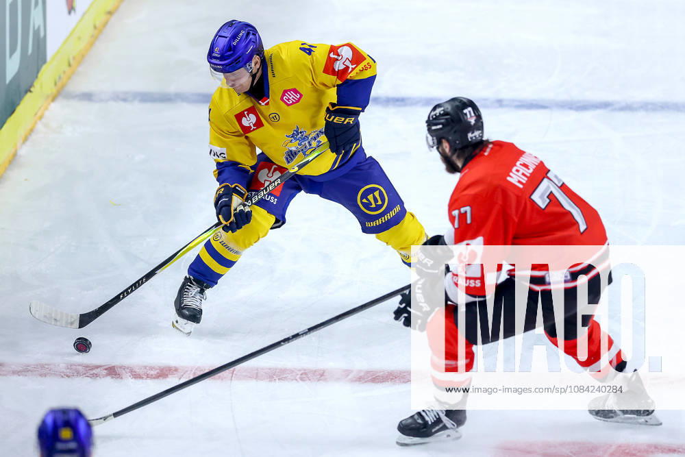 Eishockey, CHL, Kölner Haie - Blue Fox Herning, Champions Hockey League 2026 27, 5. Spieltag, Saison 2026 27, Lanxess-Arena Köln: Mads Skov Larsen (Blue Fox Herning 41) im Zweikampf gegen Ryan MacInnis (Koelner Haie 77) Nordrhein-Westfalen Deutschland