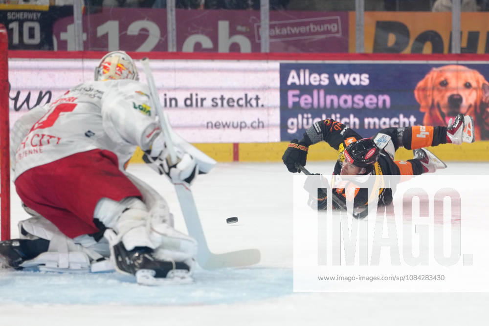 3014 Bern BE, Switzerland - October 09: Rodwin Dionicio (4 SCB) with a shoot while he falls on the ice during the National League match between SC Bern and EHC Biel-Bienne at PostFinance Arena on October 09, 2026 in 3014 Bern BE, Switzerland.