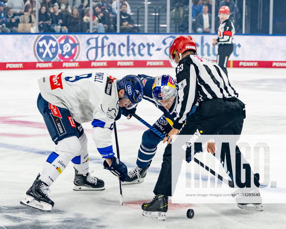 Linesperson David Tschirner fuehrt ein Bully Faceoff aus zwischen Myles Powell (ERC Ingolstadt, 09) und Dominik Kahun (EHC Red Bull Muenchen, 21) GER, EHC Red Bull Muenchen vs. ERC Ingolstadt, DEL, Saison 2026 2027, 7. Spieltag, 09.10.2026. Foto: HMB Media Franz Feiner