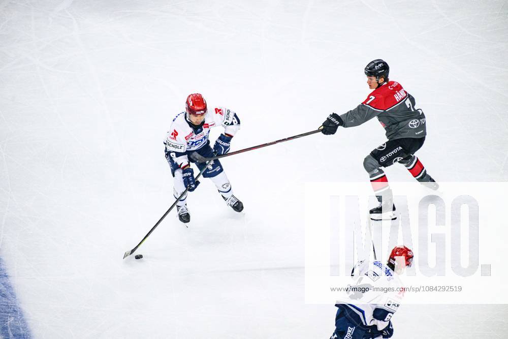 COLOGNE, GERMANY - 9 OCTOBER, 2026: - The PENNY DEL Ice hockey, Eishockey match Koelner Haie vs. Schwenninger Wild Wings at LANXESS arena.