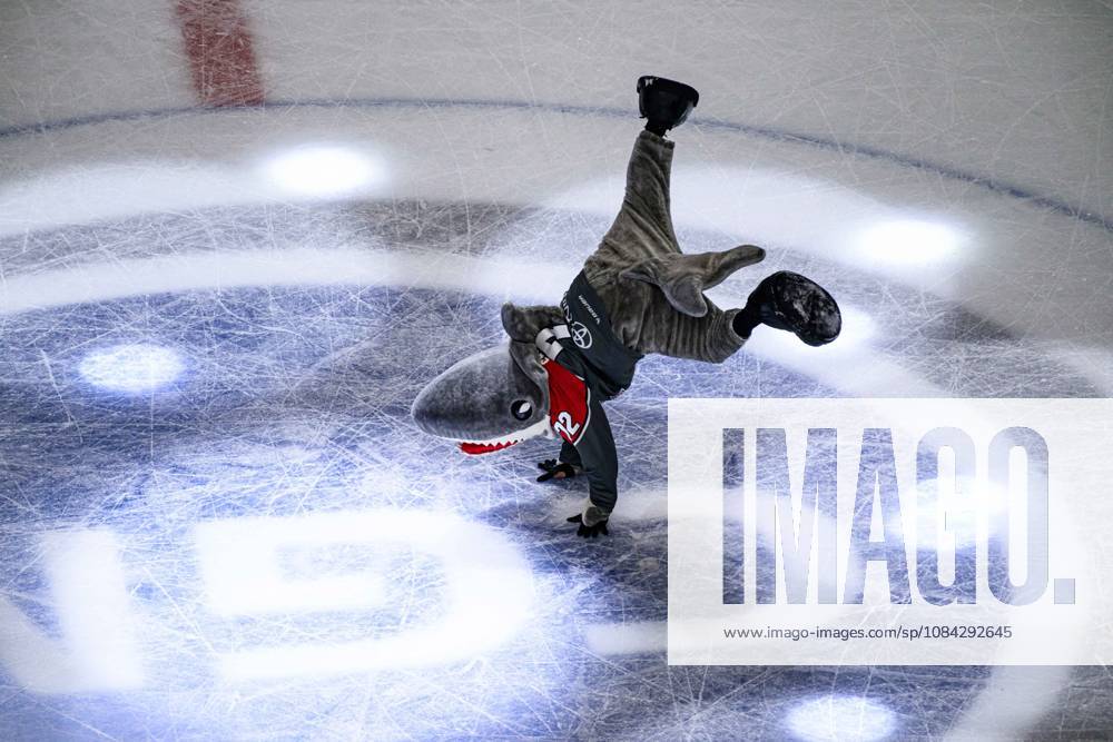 COLOGNE, GERMANY - 9 OCTOBER, 2026: Mascot - The PENNY DEL Ice hockey, Eishockey match Koelner Haie vs. Schwenninger Wild Wings at LANXESS arena.