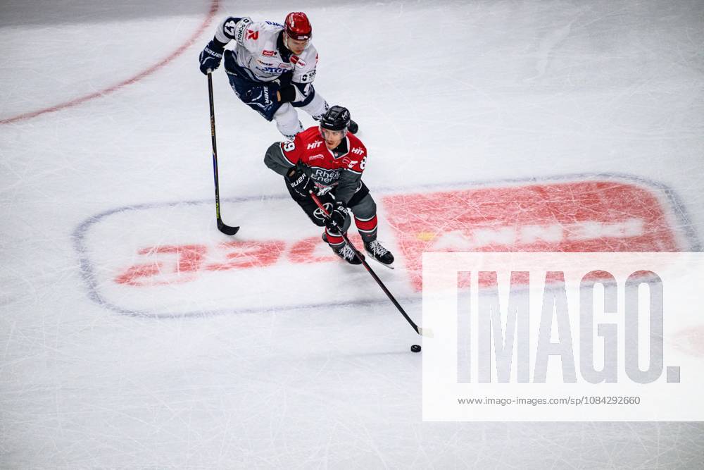 COLOGNE, GERMANY - 9 OCTOBER, 2026: - The PENNY DEL Ice hockey, Eishockey match Koelner Haie vs. Schwenninger Wild Wings at LANXESS arena.