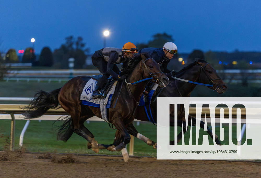 HORSE RACING 2026: QEII GI Day Keeneland OCT 10 October 10, 2026, Lexington, Ky, USA: Magnitude works in preparation for the Breeders Cup on QEII GI Day on October 10, 2026. Candice Chavez Eclipse Sportswire CSM(Credit Image: Â {Serial Cal Media) Lexington Ky USA