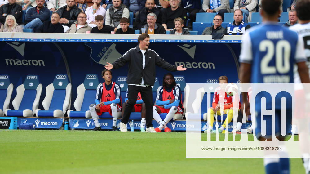 Fussball 1.Bundesliga, TSG 1899 Hoffenheim - Hamburger SV v.l. Merlin Polzin Trainer (Hamburger SV) gibt Anweisungen, gestikuliert, mit den Armen gestikulieren gives instructions, gesticulate Sinsheim