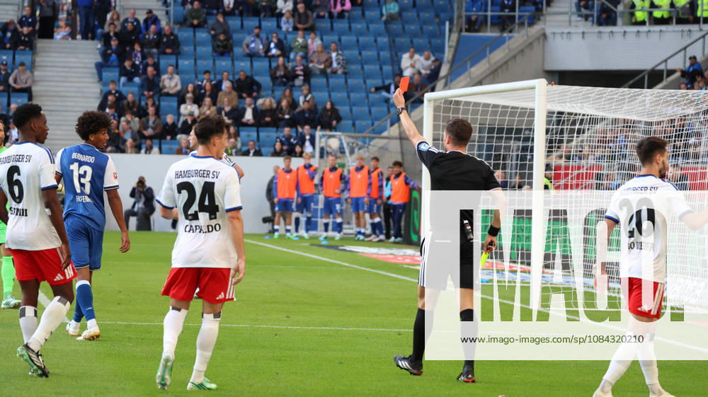 Fussball 1.Bundesliga, TSG 1899 Hoffenheim - Hamburger SV v.l. Bernardo (TSG 1899 Hoffenheim) Gelb-Rote Karte erhalten Schiedsrichter Referee Harm Osmers Sinsheim