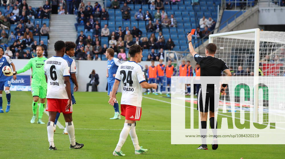 Fussball 1.Bundesliga, TSG 1899 Hoffenheim - Hamburger SV v.l. Bernardo (TSG 1899 Hoffenheim) Gelb-Rote Karte erhalten Schiedsrichter Referee Harm Osmers Sinsheim