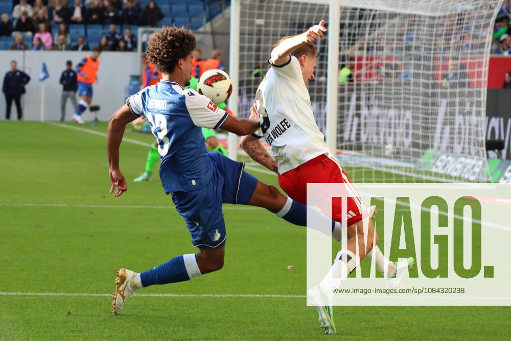 Fussball 1.Bundesliga, TSG 1899 Hoffenheim - Hamburger SV v.l. Bernardo (TSG 1899 Hoffenheim) Gelb-Rote Karte erhalten. David Moller Wolfe (Hamburger SV) Zweikampf, Aktion, action, battle for the ball Sinsheim