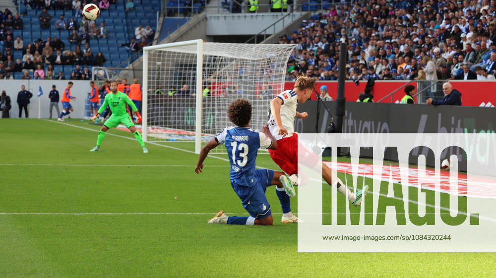 Fussball 1.Bundesliga, TSG 1899 Hoffenheim - Hamburger SV v.l. Bernardo (TSG 1899 Hoffenheim) Gelb-Rote Karte erhalten. David Moller Wolfe (Hamburger SV) Zweikampf, Aktion, action, battle for the ball Sinsheim