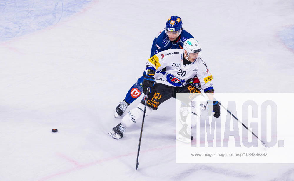 Ice hockey, Eishockey National League Regular Season - ZSC Lions vs HC Frib Zurich, Switzerland, 10th Oct 2026: 73 Kimo Gruber (ZSC Lions) manages to knock the puck away from 29 Anthony Richard (Fribourg).