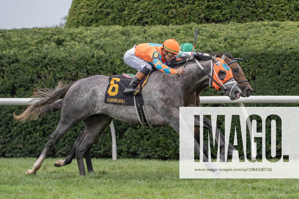 HORSE RACING 2026: QEII GI Day Keeneland OCT 10 October 10, 2026, Lexington, Kentucky, USA: Merlin Monroan (6) ridden by Tyler Gaffalionhe wins an allowance on QEII Day on October 10, 2026. Jessica Morgan Eclipse Sportswire CSM(Credit Image: Â Cal Media) Lexington Kentucky USA