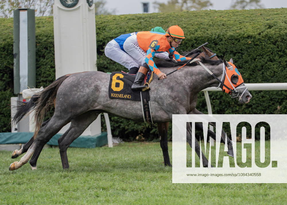 Merlin Monroan (6) ridden by Tyler Gaffalionhe wins an allowance on QEII Day on October 10, 2026. Jessica Morgan Eclipse Sportswire CSM HORSE RACING 2026: QEII GI Day Keeneland OCT 10 - ZUMAcs17 20261010_faf_cs17_013