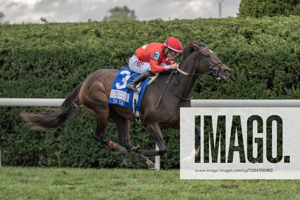 HORSE RACING 2026: QEII GI Day Keeneland OCT 10 October 10, 2026, Lexington, Kentucky, USA: Tam Tam (3) ridden by Junior Alvarado wins the Queen Elizabeth II Challenge Cup Stakes (Grade 1) Presented by Dixiana on October 10, 2026. Jessica Morgan Eclipse Sportswire CSM(Credit Image: Â Cal Media) Lexington Kentucky USA