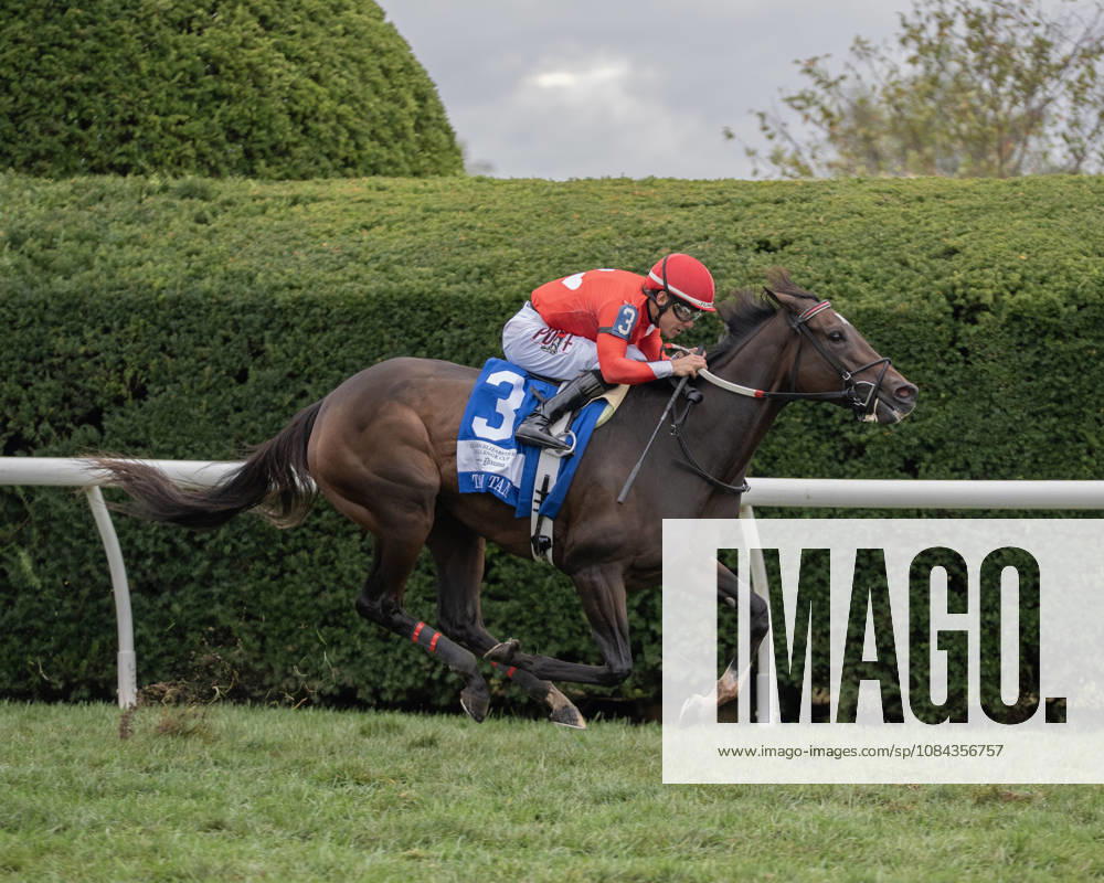 HORSE RACING 2026: QEII GI Day Keeneland OCT 10 October 10, 2026, Lexington, Kentucky, USA: Tam Tam (3) ridden by Junior Alvarado wins the Queen Elizabeth II Challenge Cup Stakes (Grade 1) Presented by Dixiana on October 10, 2026. Jessica Morgan Eclipse Sportswire CSM(Credit Image: Â Cal Media) Lexington Kentucky USA