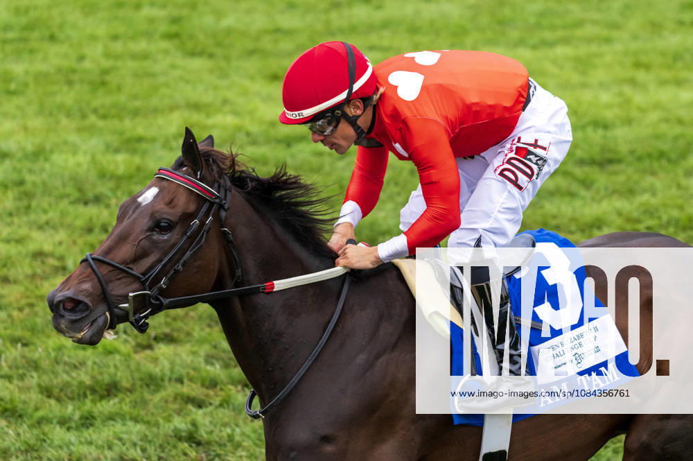 HORSE RACING 2026: QEII GI Day Keeneland OCT 10 October 10, 2026, Lexington, Ky, USA: Tam Tam (3) ridden by Junior Alvarado wins the Queen Elizabeth II Challenge Cup on QEII GI Day on October 10, 2026. Candice Chavez Eclipse Sportswire CSM(Credit Image: Â {Serial Cal Media) Lexington Ky USA