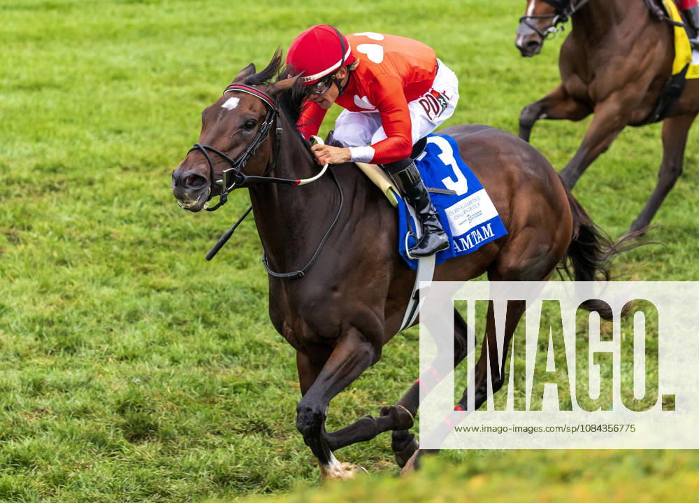 HORSE RACING 2026: QEII GI Day Keeneland OCT 10 October 10, 2026, Lexington, Ky, USA: Tam Tam (3) ridden by Junior Alvarado wins the Queen Elizabeth II Challenge Cup on QEII GI Day on October 10, 2026. Candice Chavez Eclipse Sportswire CSM(Credit Image: Â {Serial Cal Media) Lexington Ky USA
