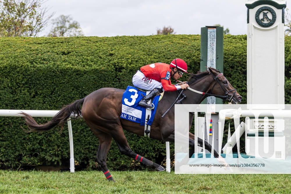 HORSE RACING 2026: QEII GI Day Keeneland OCT 10 October 10, 2026, USA: Tam Tam (3) ridden by Junior Alvarado wins The Queen Elizabeth II Challenge Cup (Grade 1) at Keeneland Race Course in Lexington, Kentucly on October 10, 2026. Casey Laughter Eclipse Sportswire CSM(Credit Image: Â Casey Laughter Cal Media) USA