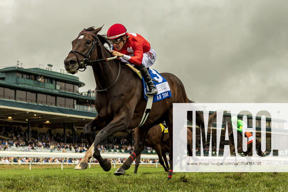 HORSE RACING 2026: QEII GI Day Keeneland OCT 10 October 10, 2026, USA: Tam Tam (3) ridden by Junior Alvarado wins The Queen Elizabeth II Challenge Cup (Grade 1) at Keeneland Race Course in Lexington, Kentucly on October 10, 2026. Casey Laughter Eclipse Sportswire CSM(Credit Image: Â Casey Laughter Cal Media) USA
