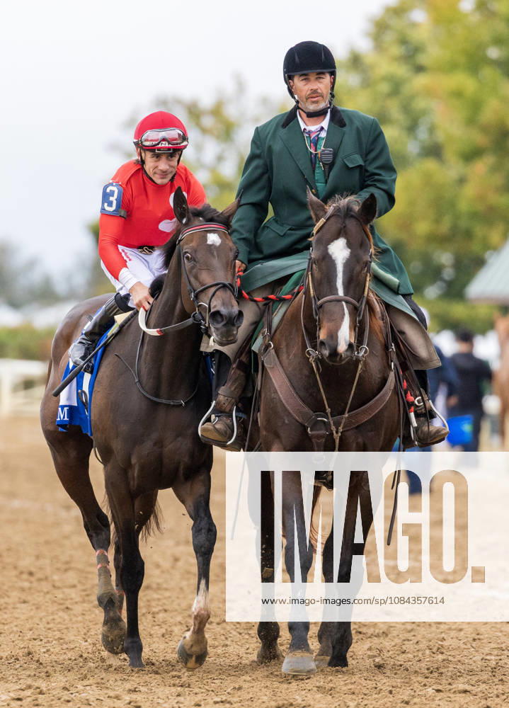 HORSE RACING 2026: QEII GI Day Keeneland OCT 10 October 10, 2026, Lexington, Ky, USA: Tam Tam (3) ridden by Junior Alvarado wins the Queen Elizabeth II Challenge Cup on QEII GI Day on October 10, 2026. Candice Chavez Eclipse Sportswire CSM(Credit Image: Â {Serial Cal Media) Lexington Ky USA