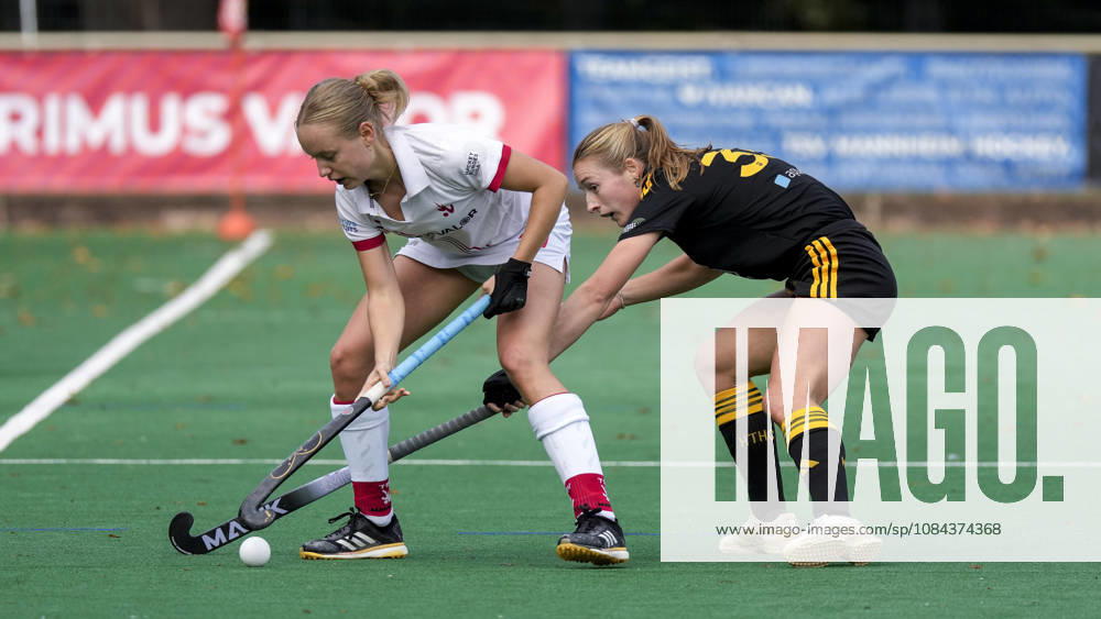 V.li.: Marie Sattler (TSVMH, 20), Katharina Kiefer (HTHC, 33), Zweikampf, Spielszene, Duell, duel, tackle, tackling, Dynamik, Action, Aktion, 11.10.2026, Mannheim (Deutschland), Hockey, 1. Bundesliga, Damen, TSV Mannheim - Harvestehuder THC