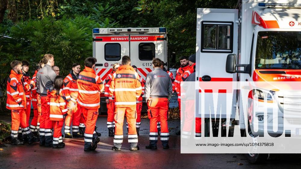 Rund 1800 Läufer begeben sich am Sonntagmorgen, 11.10.2026, im Rahmenprogramm des Mararthons am Baldeneysee auf eine gut 18 Kilometer lange Seerunde. Deutschland NRW Essen