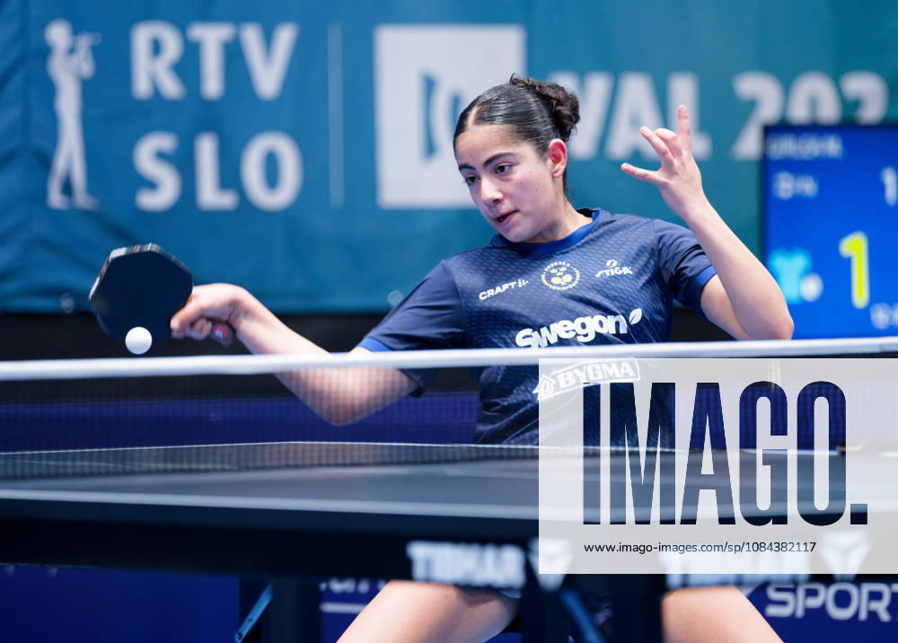 Angelina Bebawy Sweden (foto-ms0985b) at the 2026 European Table tennis, Tischtennis Championships in Ljubljana LJUBLJANA, SLOVENIA - 11 OCTOBER 2026: Angelina Bebawy Sweden (foto-ms0985b) in action at the European Table Tennis Championships in Stozice Arena, Ljubljana, Slovenia (Photo by Manfred Schillings) Ljubljana Stozice Arena Slovenia