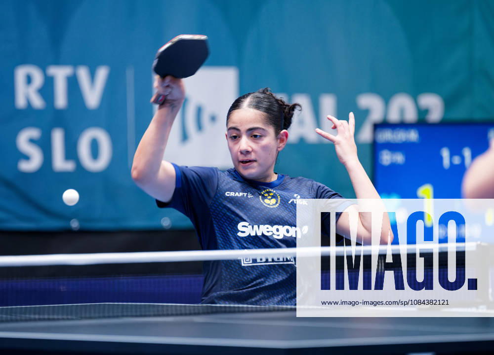 Angelina Bebawy Sweden (foto-ms0986b) at the 2026 European Table tennis, Tischtennis Championships in Ljubljana LJUBLJANA, SLOVENIA - 11 OCTOBER 2026: Angelina Bebawy Sweden (foto-ms0986b) in action at the European Table Tennis Championships in Stozice Arena, Ljubljana, Slovenia (Photo by Manfred Schillings) Ljubljana Stozice Arena Slovenia