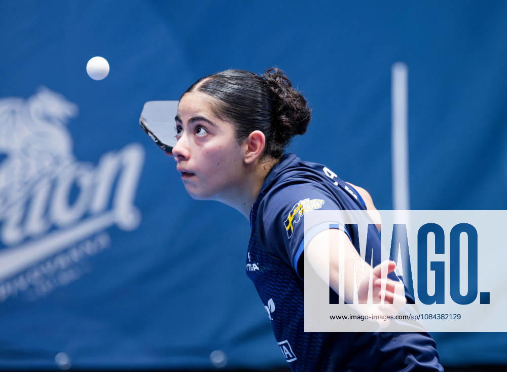 Angelina Bebawy Sweden (foto-ms1003b) at the 2026 European Table tennis, Tischtennis Championships in Ljubljana LJUBLJANA, SLOVENIA - 11 OCTOBER 2026: Angelina Bebawy Sweden (foto-ms1003b) in action at the European Table Tennis Championships in Stozice Arena, Ljubljana, Slovenia (Photo by Manfred Schillings) Ljubljana Stozice Arena Slovenia