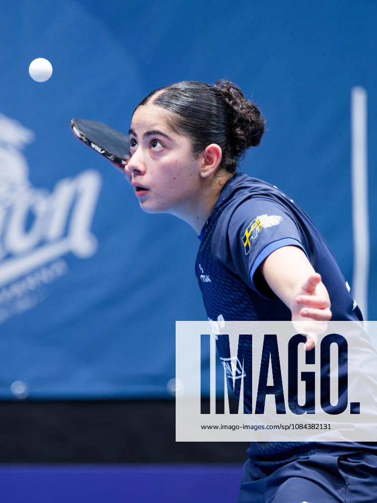 Angelina Bebawy Sweden (foto-ms1005b) at the 2026 European Table tennis, Tischtennis Championships in Ljubljana LJUBLJANA, SLOVENIA - 11 OCTOBER 2026: Angelina Bebawy Sweden (foto-ms1005b) in action at the European Table Tennis Championships in Stozice Arena, Ljubljana, Slovenia (Photo by Manfred Schillings) Ljubljana Stozice Arena Slovenia