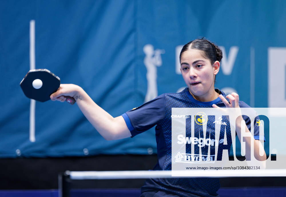 Angelina Bebawy Sweden (foto-ms1008b) at the 2026 European Table tennis, Tischtennis Championships in Ljubljana LJUBLJANA, SLOVENIA - 11 OCTOBER 2026: Angelina Bebawy Sweden (foto-ms1008b) in action at the European Table Tennis Championships in Stozice Arena, Ljubljana, Slovenia (Photo by Manfred Schillings) Ljubljana Stozice Arena Slovenia
