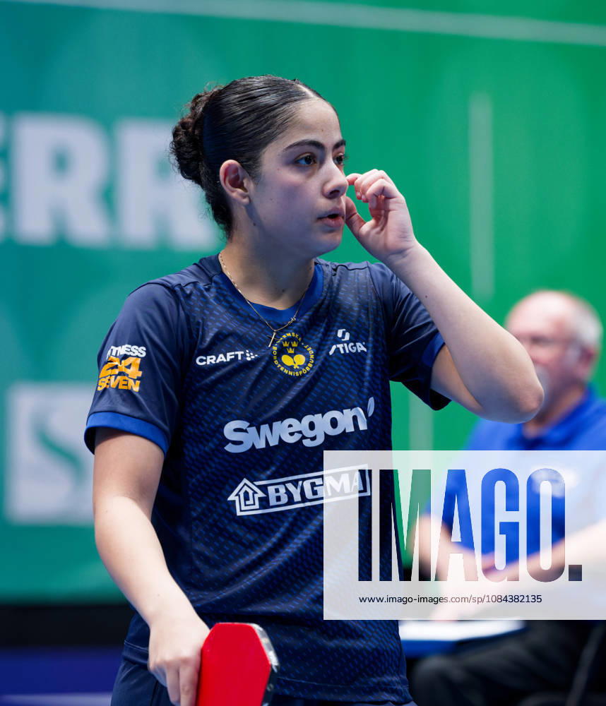 Angelina Bebawy Sweden (foto-ms1010b) at the 2026 European Table tennis, Tischtennis Championships in Ljubljana LJUBLJANA, SLOVENIA - 11 OCTOBER 2026: Angelina Bebawy Sweden (foto-ms1010b) in action at the European Table Tennis Championships in Stozice Arena, Ljubljana, Slovenia (Photo by Manfred Schillings) Ljubljana Stozice Arena Slovenia