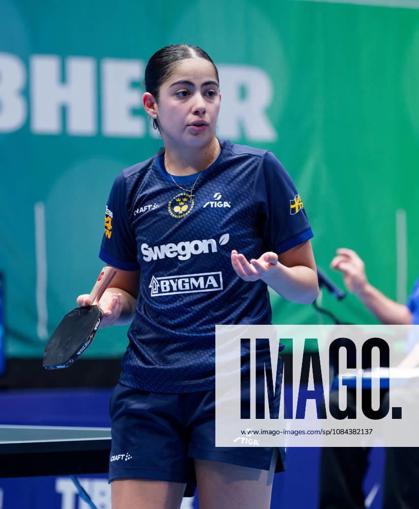 Angelina Bebawy Sweden (foto-ms1013b) at the 2026 European Table tennis, Tischtennis Championships in Ljubljana LJUBLJANA, SLOVENIA - 11 OCTOBER 2026: Angelina Bebawy Sweden (foto-ms1013b) in action at the European Table Tennis Championships in Stozice Arena, Ljubljana, Slovenia (Photo by Manfred Schillings) Ljubljana Stozice Arena Slovenia