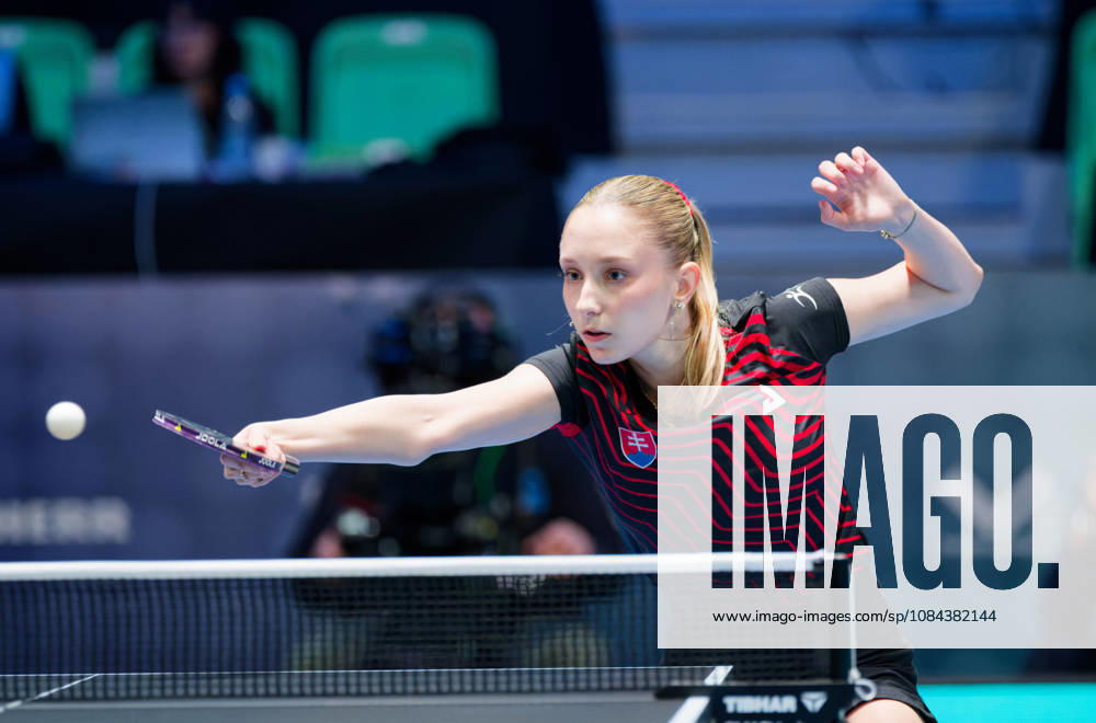 Dominika Wiltschkova Slovakia (foto-ms1028b) at the 2026 European Table tennis, Tischtennis Championships in Ljubljana LJUBLJANA, SLOVENIA - 11 OCTOBER 2026: Dominika Wiltschkova Slovakia (foto-ms1028b) in action at the European Table Tennis Championships in Stozice Arena, Ljubljana, Slovenia (Photo by Manfred Schillings) Ljubljana Stozice Arena Slovenia