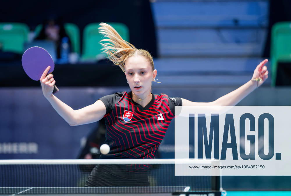 Dominika Wiltschkova Slovakia (foto-ms1030b) at the 2026 European Table tennis, Tischtennis Championships in Ljubljana LJUBLJANA, SLOVENIA - 11 OCTOBER 2026: Dominika Wiltschkova Slovakia (foto-ms1030b) in action at the European Table Tennis Championships in Stozice Arena, Ljubljana, Slovenia (Photo by Manfred Schillings) Ljubljana Stozice Arena Slovenia