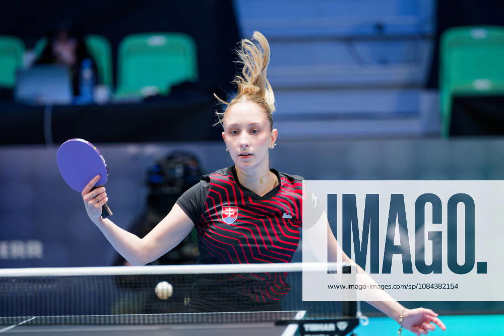 Dominika Wiltschkova Slovakia (foto-ms1031b) at the 2026 European Table tennis, Tischtennis Championships in Ljubljana LJUBLJANA, SLOVENIA - 11 OCTOBER 2026: Dominika Wiltschkova Slovakia (foto-ms1031b) in action at the European Table Tennis Championships in Stozice Arena, Ljubljana, Slovenia (Photo by Manfred Schillings) Ljubljana Stozice Arena Slovenia
