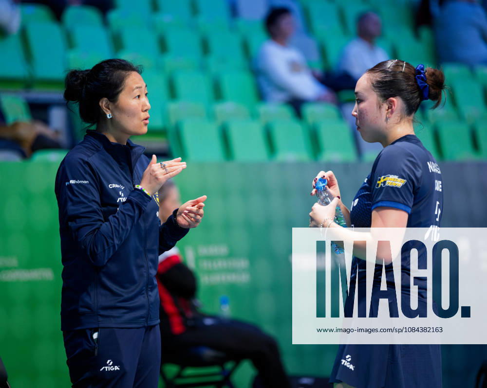 Fang Zhang Sweden (foto-ms1051b) at the 2026 European Table tennis, Tischtennis Championships in Ljubljana LJUBLJANA, SLOVENIA - 11 OCTOBER 2026: Fang Zhang Sweden (foto-ms1051b) in action at the European Table Tennis Championships in Stozice Arena, Ljubljana, Slovenia (Photo by Manfred Schillings) Ljubljana Stozice Arena Slovenia