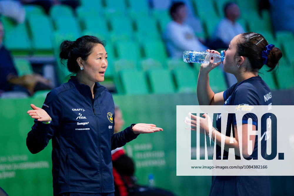 Fang Zhang Sweden (foto-ms1052b) at the 2026 European Table tennis, Tischtennis Championships in Ljubljana LJUBLJANA, SLOVENIA - 11 OCTOBER 2026: Fang Zhang Sweden (foto-ms1052b) in action at the European Table Tennis Championships in Stozice Arena, Ljubljana, Slovenia (Photo by Manfred Schillings) Ljubljana Stozice Arena Slovenia