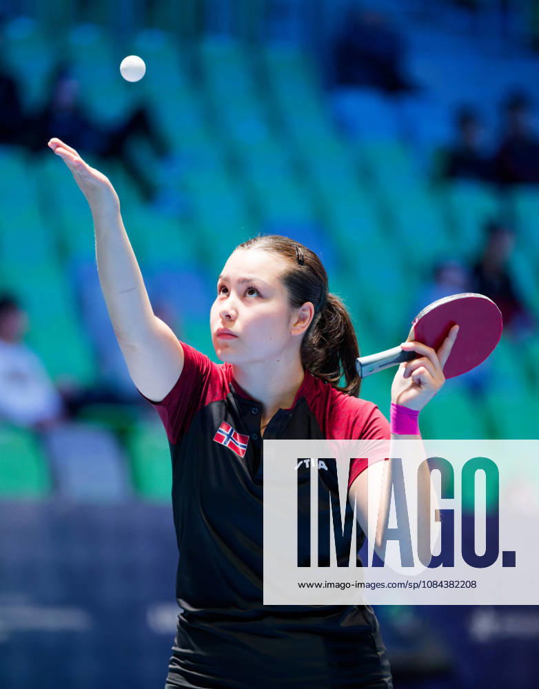Martine Toftaker Norway (foto-ms1034b) at the 2026 European Table tennis, Tischtennis Championships in Ljubljana LJUBLJANA, SLOVENIA - 11 OCTOBER 2026: Martine Toftaker Norway (foto-ms1034b) in action at the European Table Tennis Championships in Stozice Arena, Ljubljana, Slovenia (Photo by Manfred Schillings) Ljubljana Stozice Arena Slovenia