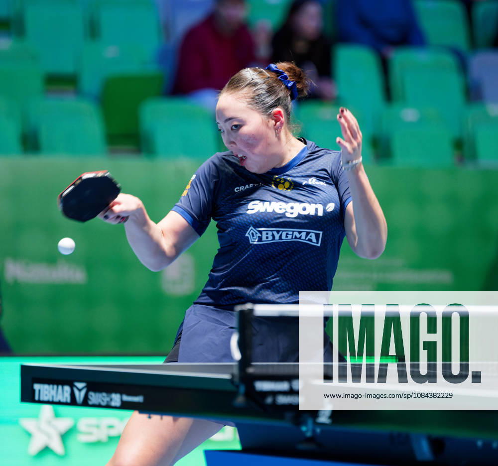 Nomin Baasan Sweden (foto-ms1042b) at the 2026 European Table tennis, Tischtennis Championships in Ljubljana LJUBLJANA, SLOVENIA - 11 OCTOBER 2026: Nomin Baasan Sweden (foto-ms1042b) in action at the European Table Tennis Championships in Stozice Arena, Ljubljana, Slovenia (Photo by Manfred Schillings) Ljubljana Stozice Arena Slovenia