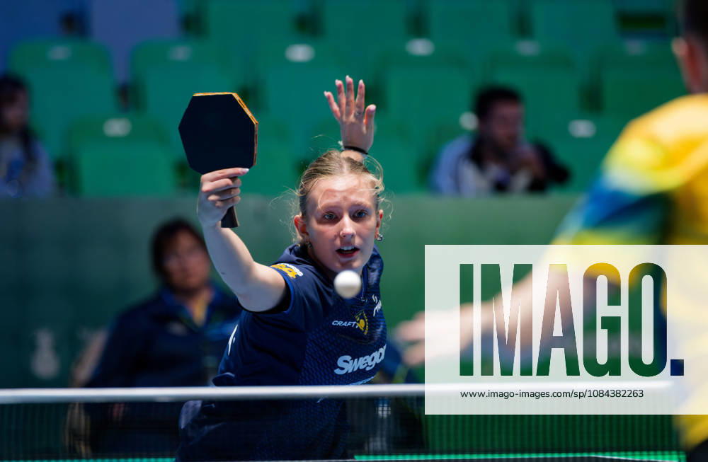 Siri Benjegard Sweden (foto-ms1065b) at the 2026 European Table tennis, Tischtennis Championships in Ljubljana LJUBLJANA, SLOVENIA - 11 OCTOBER 2026: Siri Benjegard Sweden (foto-ms1065b) in action at the European Table Tennis Championships in Stozice Arena, Ljubljana, Slovenia (Photo by Manfred Schillings) Ljubljana Stozice Arena Slovenia