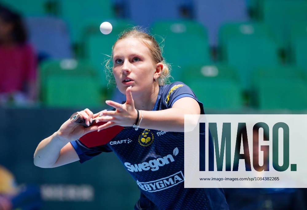 Siri Benjegard Sweden (foto-ms1066b) at the 2026 European Table tennis, Tischtennis Championships in Ljubljana LJUBLJANA, SLOVENIA - 11 OCTOBER 2026: Siri Benjegard Sweden (foto-ms1066b) in action at the European Table Tennis Championships in Stozice Arena, Ljubljana, Slovenia (Photo by Manfred Schillings) Ljubljana Stozice Arena Slovenia