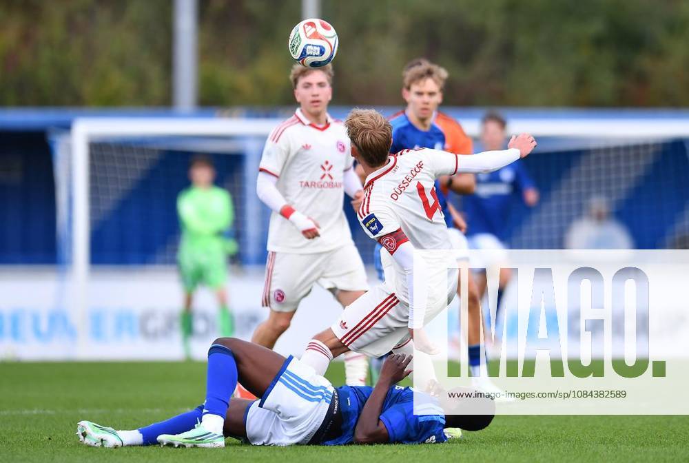 Fußball U19 DFB-Nachwuchsliga - Vorrunde Gruppe H 7.SPIELTAG: Schalke 04 U19 - Fortuna Düsseldorf U19 am 11.10.2026 im Parkstadion in Gelsenkirchen Aboubacar Koba Bangoura ( Schalke 04 U19 ), unten - Luis Sinkiewicz ( Fortuna Düsseldorf U19 ), oben Deutschland Nordrhein-Westfalen Gelsenkirchen