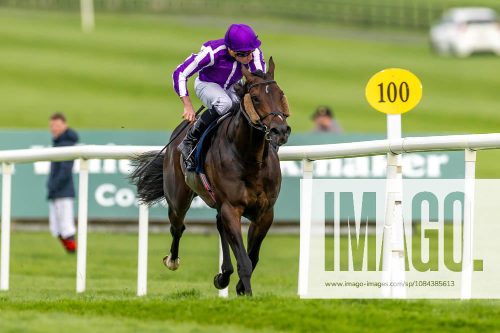 REPRO FREE *PRESS RELEASE NO REPRODUCTION FEE* October Weekend Meeting 2026, Naas Racecourse, Kildare 11 10 2026 Ryan Moore on Bengal Tiger wins The Tifrums Irish EBF (C & G) Maiden Ryan Moore on Bengal Tiger 11 10 2026
