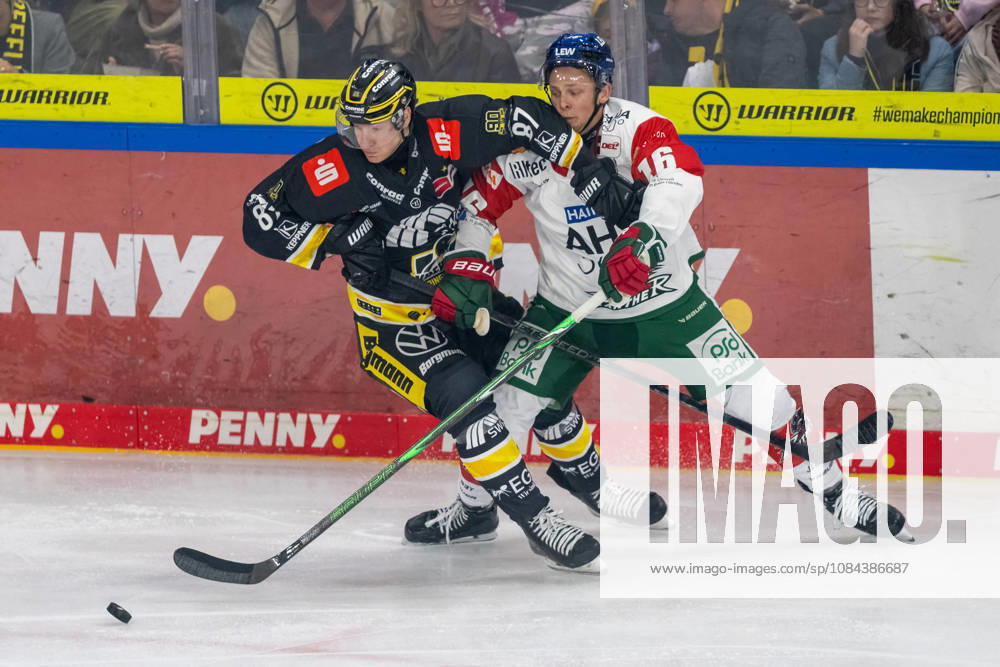 Zweikampf zwischen Philip Gogulla (Krefeld Pinguine, 87) und Cameron Wright (Augsburger Panther, 16). Krefeld Pinguine vs. Augsburger Panther, Eishockey, Penny DEL, 08. Spieltag, Saison 2026 2027, 11.10.2026 Krefeld Pinguine vs. Augsburger Panther, Eishockey, Penny DEL, 08. Spieltag, Saison 2026 2027, 11.10.2026 Krefeld