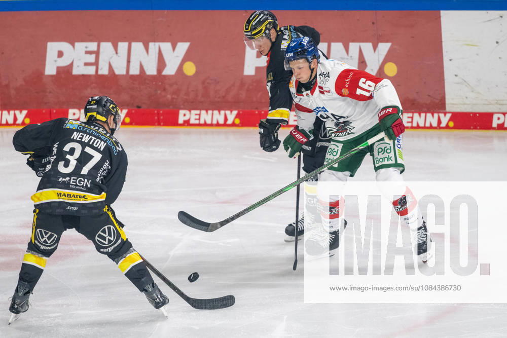 Zweikampf zwischen Max Newton (Krefeld Pinguine, 37), Cameron Wright (Augsburger Panther, 16) und Philip Gogulla (Krefeld Pinguine, 87). Krefeld Pinguine vs. Augsburger Panther, Eishockey, Penny DEL, 08. Spieltag, Saison 2026 2027, 11.10.2026 Krefeld Pinguine vs. Augsburger Panther, Eishockey, Penny DEL, 08. Spieltag, Saison 2026 2027, 11.10.2026 Krefeld