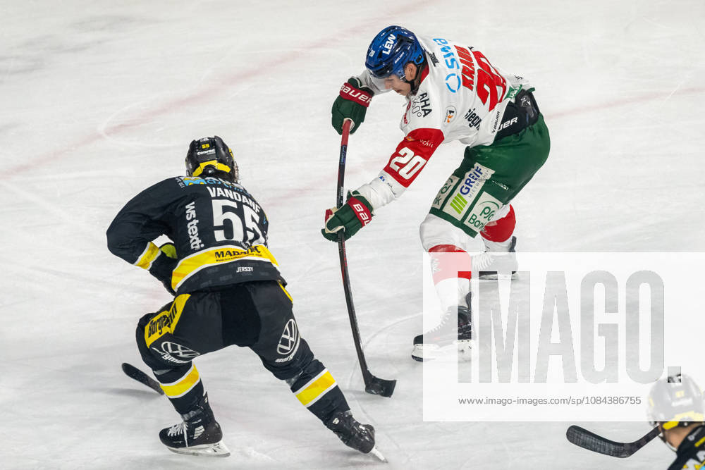 Zweikampf zwischen Davis Vandane (Krefeld Pinguine, 55) und Philipp Krauss (Augsburger Panther, 20). Krefeld Pinguine vs. Augsburger Panther, Eishockey, Penny DEL, 08. Spieltag, Saison 2026 2027, 11.10.2026 Krefeld Pinguine vs. Augsburger Panther, Eishockey, Penny DEL, 08. Spieltag, Saison 2026 2027, 11.10.2026 Krefeld