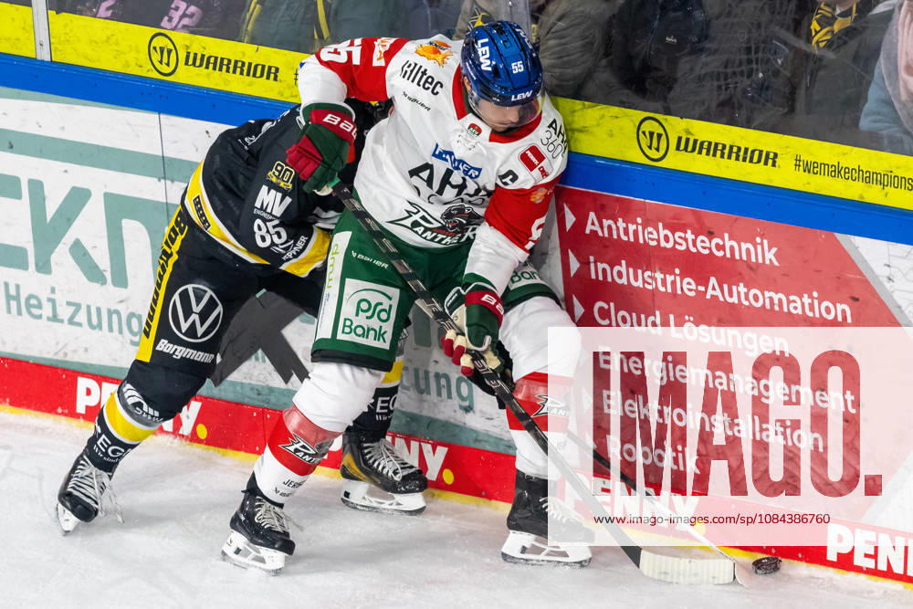 Zweikampf zwischen Luca Hauf (Krefeld Pinguine, 85) und Ryan Button (Augsburger Panther, 55). Krefeld Pinguine vs. Augsburger Panther, Eishockey, Penny DEL, 08. Spieltag, Saison 2026 2027, 11.10.2026 Krefeld Pinguine vs. Augsburger Panther, Eishockey, Penny DEL, 08. Spieltag, Saison 2026 2027, 11.10.2026 Krefeld