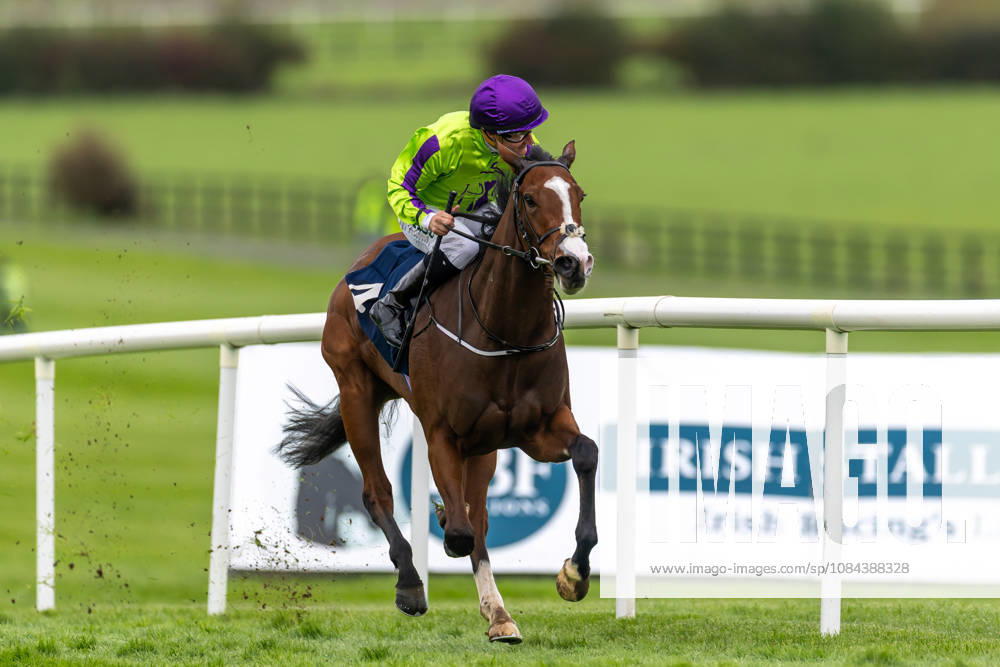 REPRO FREE *PRESS RELEASE NO REPRODUCTION FEE* October Weekend Meeting 2026, Naas Racecourse, Kildare 11 10 2026 Shane Foley on Diamonds and Dames wins The Irish EBF Auction Series Race Final Shane Foley on Diamonds and Dames 11 10 2026